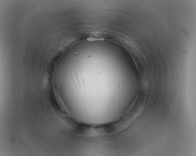 X0000113900270200910081835