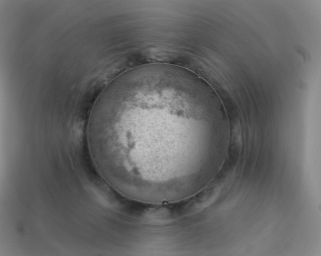 X0000113900271200910081835