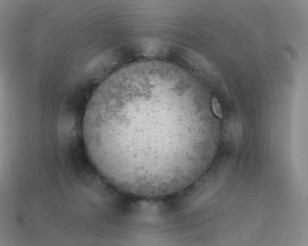 X0000113900272200910081835