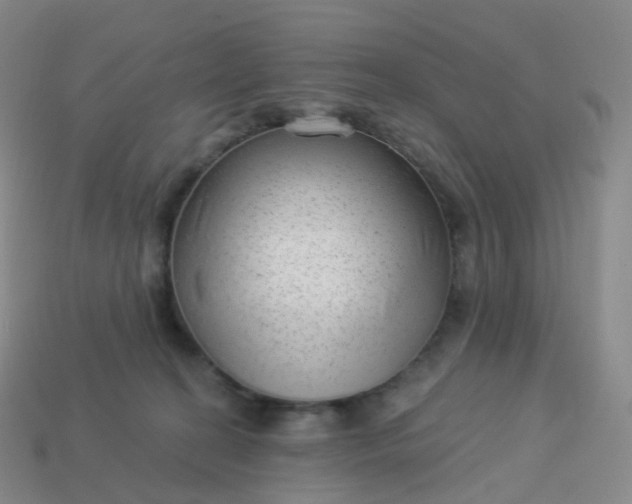 X0000113900274200910081835