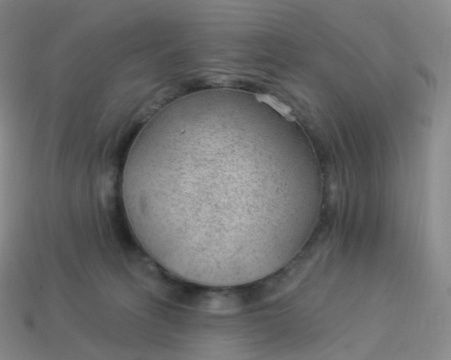 X0000113900275200910081835