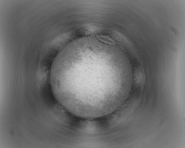 X0000113900276200910081835