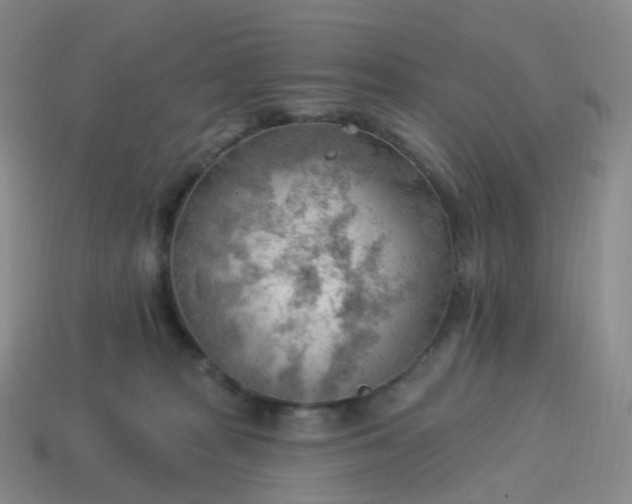 X0000113900277200910081835