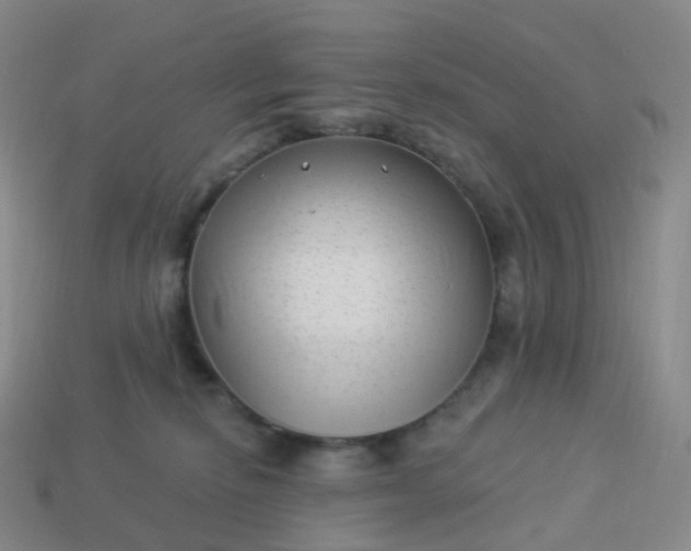 X0000113900278200910081835