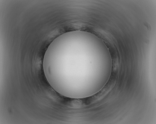 X0000113900279200910081835