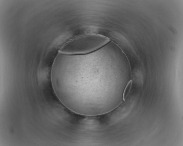 X0000113900280200910081835