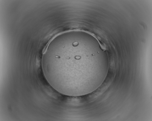 X0000113900282200910081835