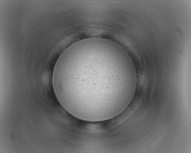 X0000113900283200910081835