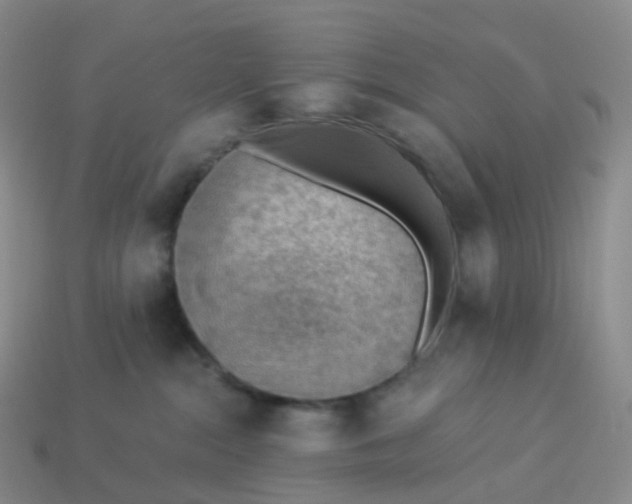 X0000113900284200910081835