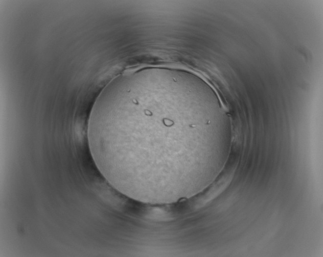 X0000113900285200910081835