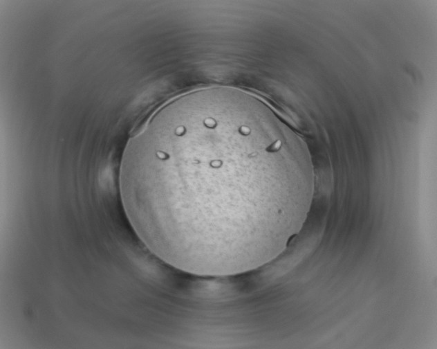 X0000113900286200910081835