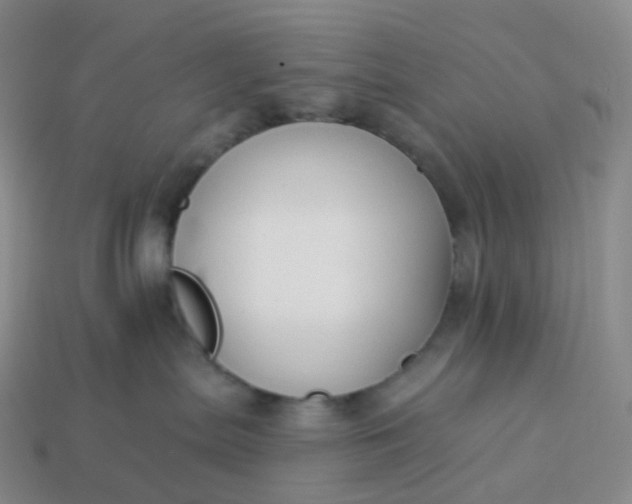 X0000113900287200910081835