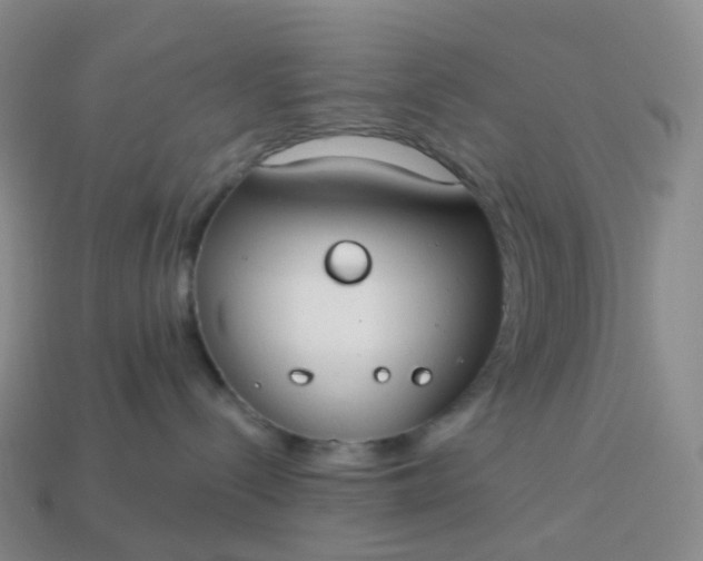 X0000113900288200910081835