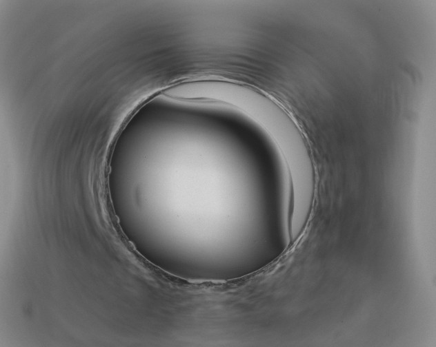 X0000113900289200910081834