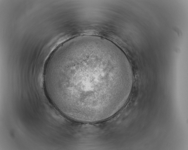 X0000113900290200910081834