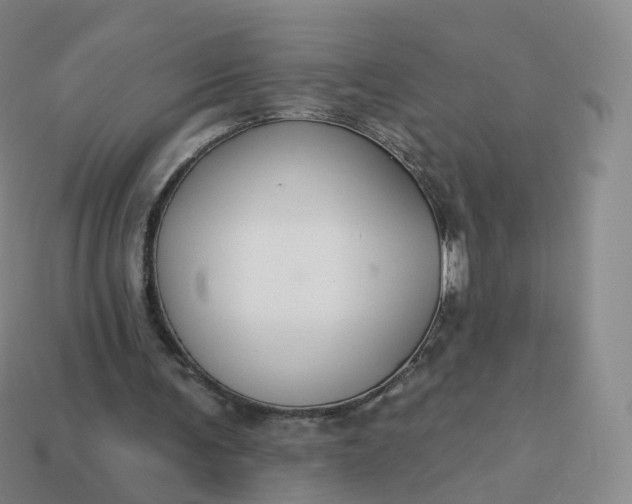 X0000113900291200910081834