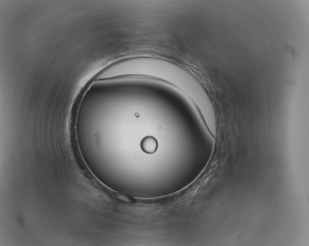 X0000113900292200910081834