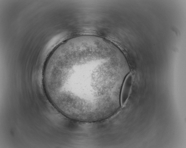 X0000113900293200910081834