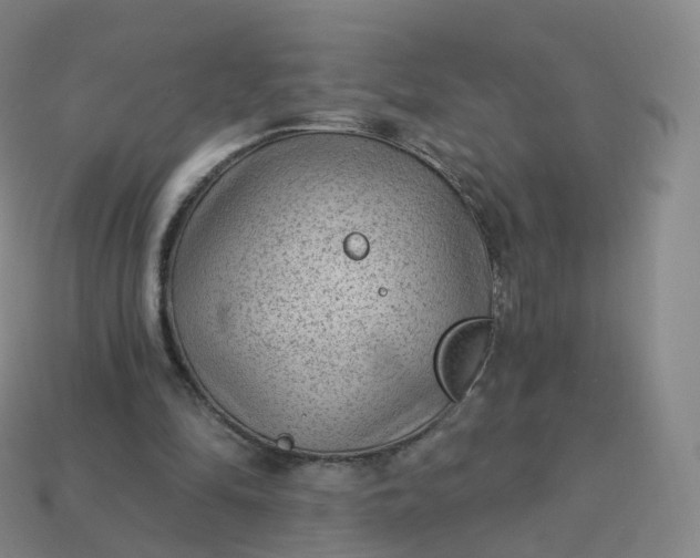 X0000113900294200910081834