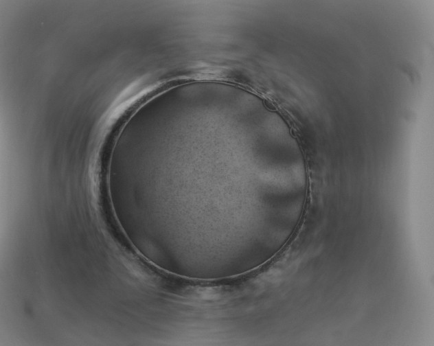 X0000113900295200910081834