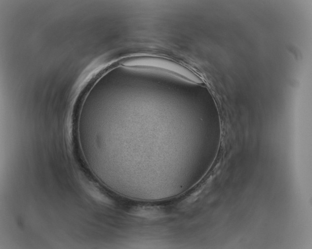 X0000113900296200910081834