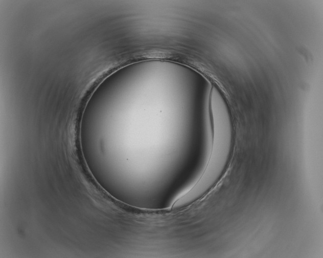 X0000113900297200910081834