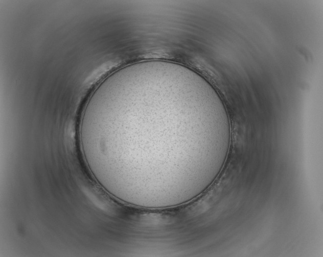 X0000113900298200910081834