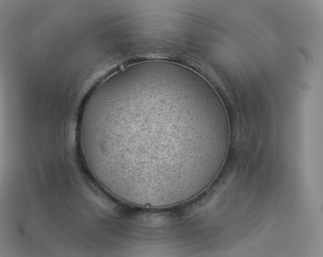 X0000113900299200910081834