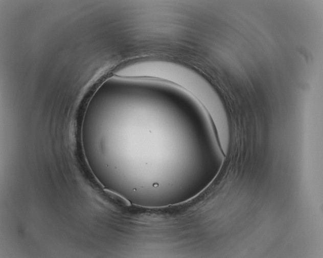 X0000113900300200910081834