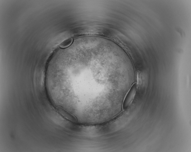 X0000113900301200910081834