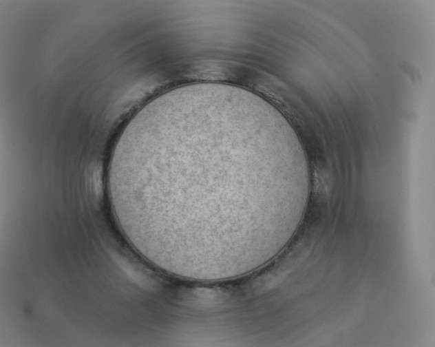 X0000113900302200910081834