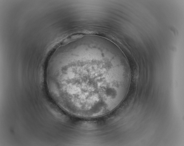 X0000113900303200910081834