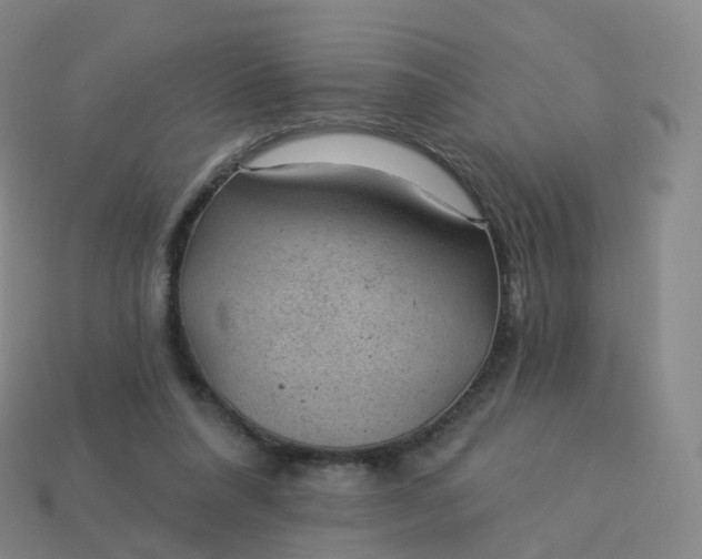 X0000113900304200910081834