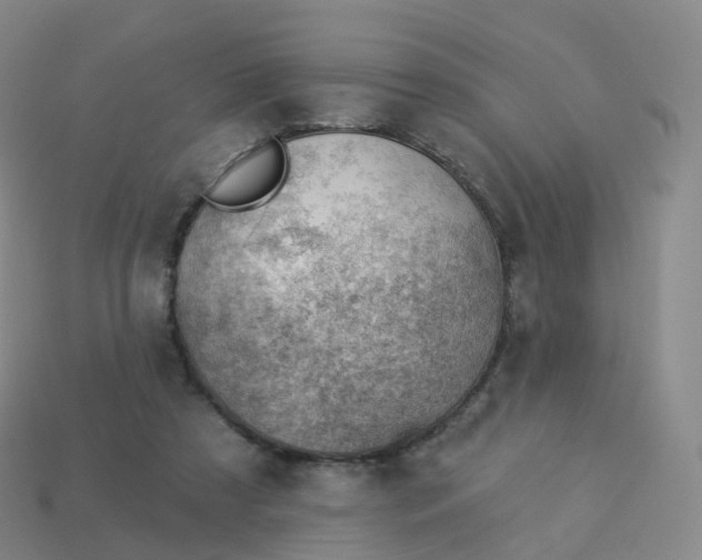 X0000113900305200910081834