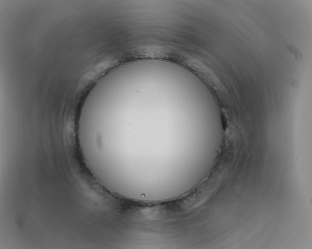 X0000113900306200910081834