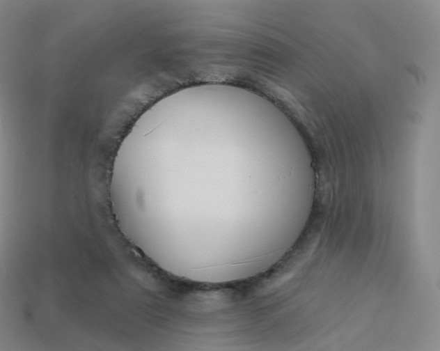 X0000113900307200910081834