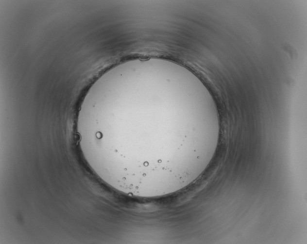 X0000113900309200910081834