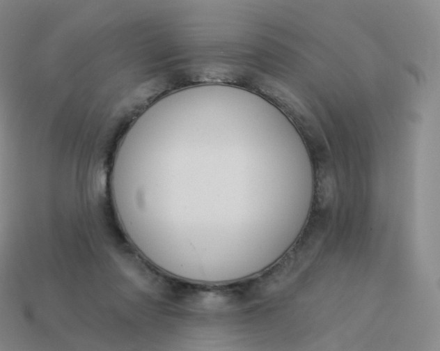 X0000113900310200910081834