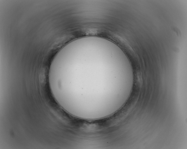 X0000113900311200910081834