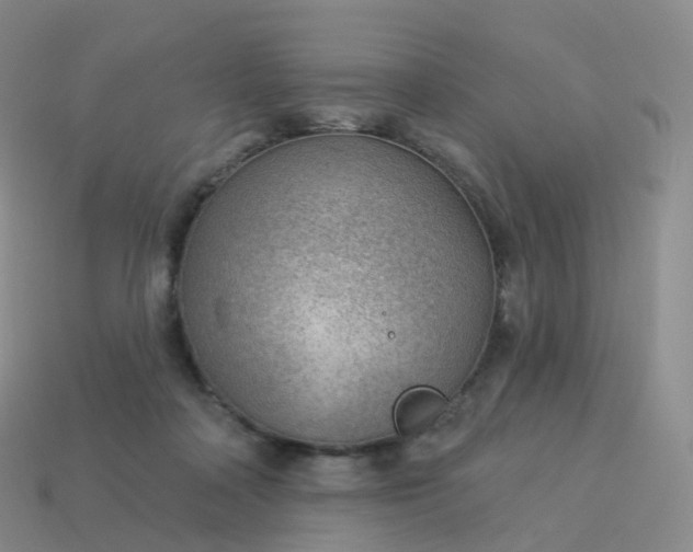 X0000113900314200910081834