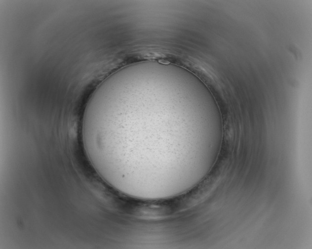 X0000113900315200910081834