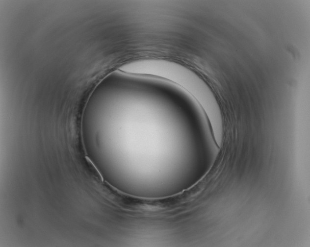 X0000113900317200910081834