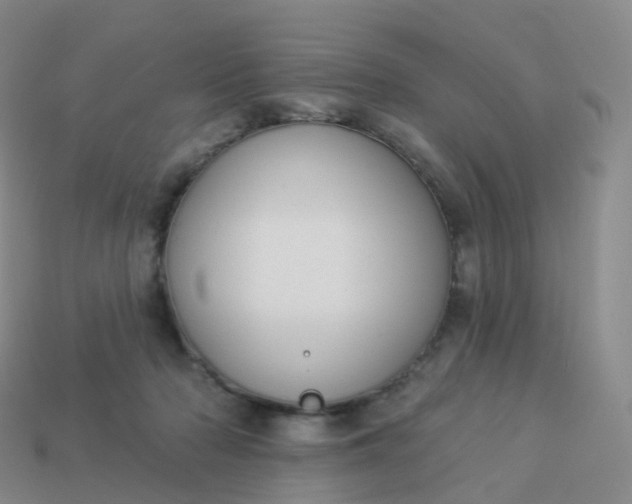 X0000113900318200910081834