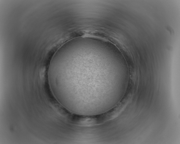 X0000113900319200910081834