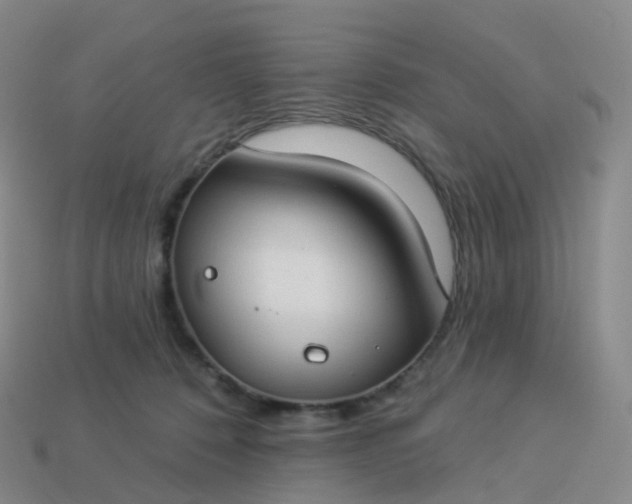 X0000113900320200910081834