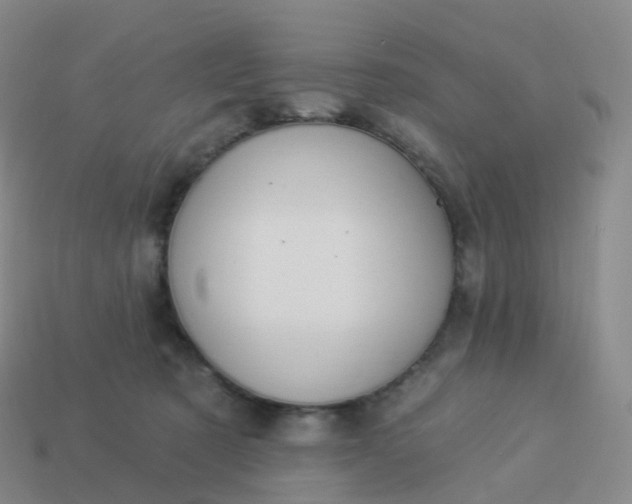 X0000113900321200910081834