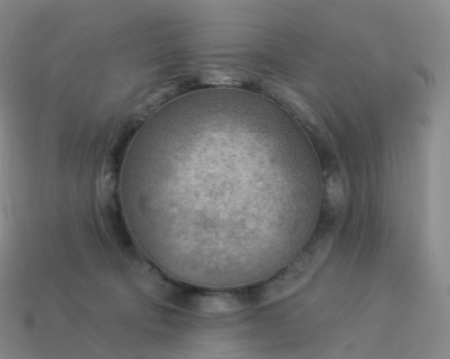 X0000113900322200910081834