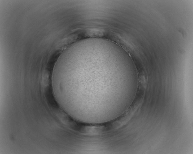 X0000113900323200910081834