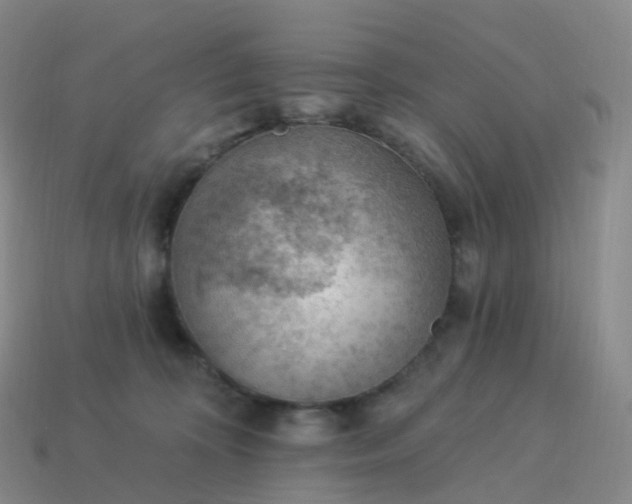 X0000113900324200910081834