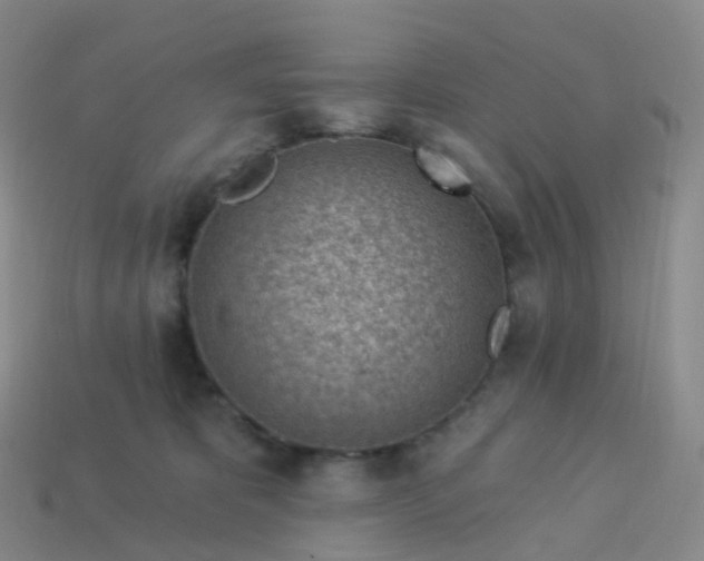 X0000113900325200910081834